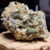 buy ogdlux online | buy ogdlux weed strain | buy ogdlux marijuana strain | buy ogdlux strain |
