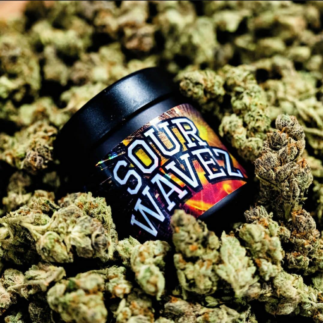 buy sour wavez marijuana strain | Buy Sour Wavez strain online | sour wavez | buy sour wavez strain fire society | the fire society sour wavez